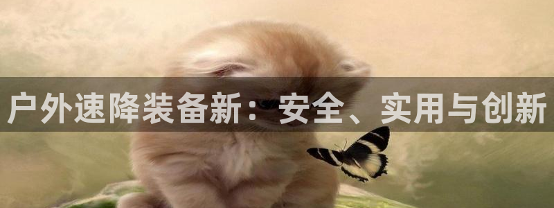 新宝gg主管、