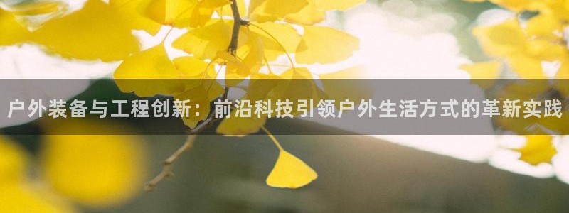 新宝gg平台怎么样