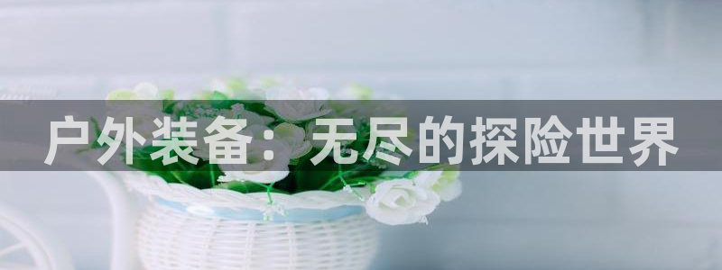 新宝gg注册cqdellar