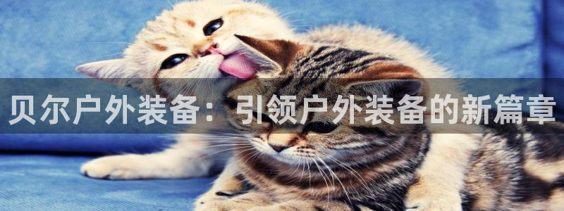 新宝.gg