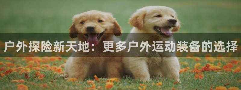 新宝gg如何做到总代理