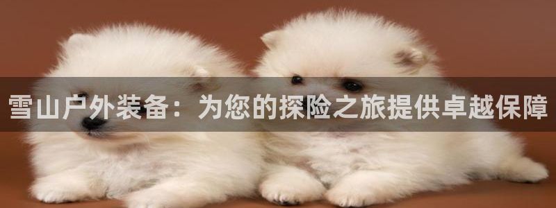 新宝gg网站
