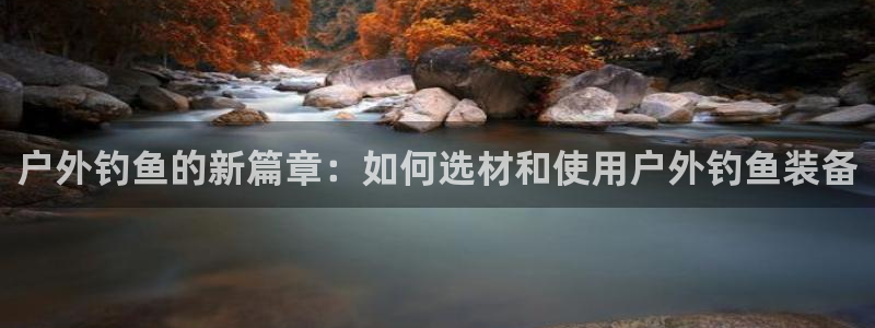 新宝gg