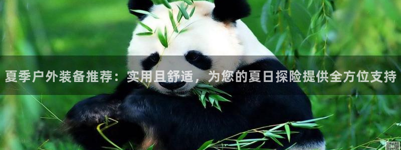 新宝gg dengludizhi