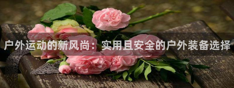 新宝gg类似