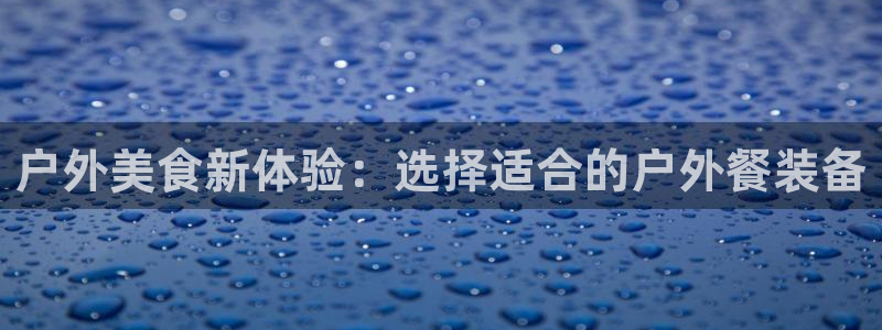 正版新宝gg