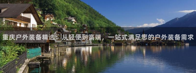新宝GG股东