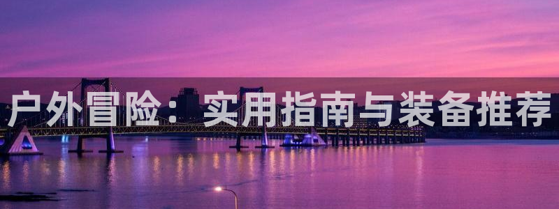 新宝gg