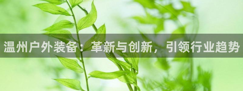 新宝gg账号