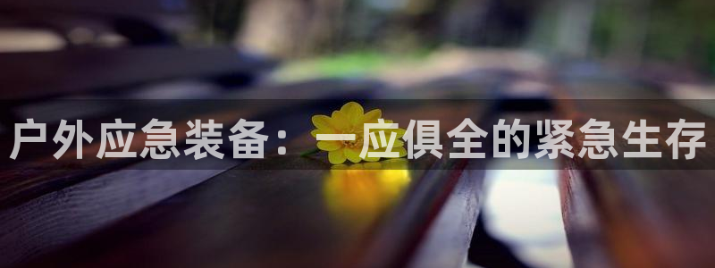 c新宝GG