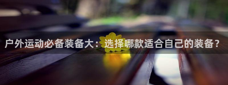 新宝gg招商42873