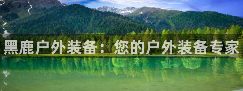 新宝gg介绍