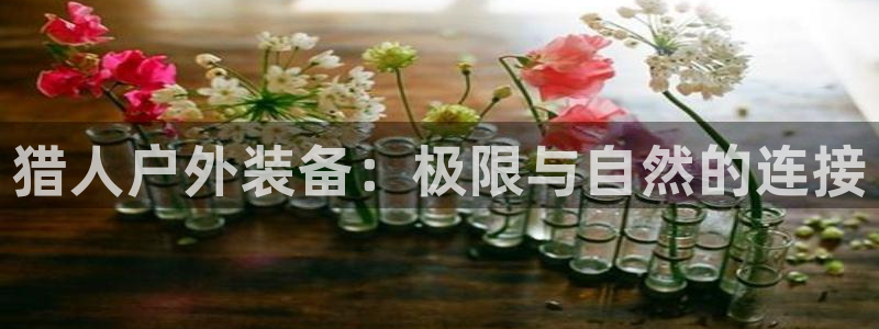新宝太阳gg