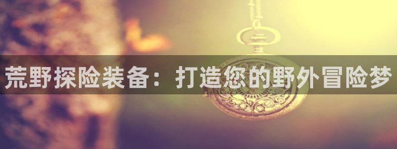 新宝 gg创造