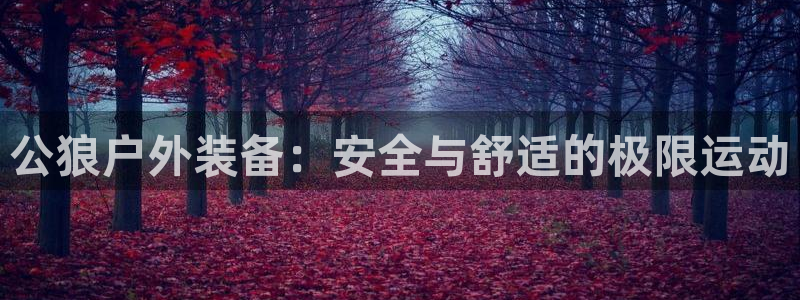 新宝gg平台首页