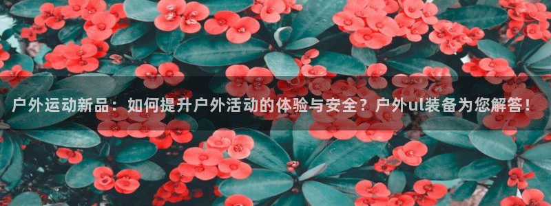 新宝GG—创造奇迹
