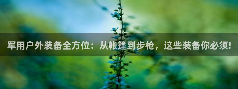 新宝gg创造奇迹下载
