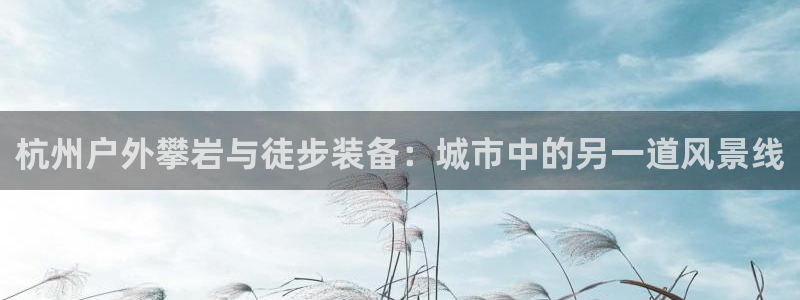 新宝gg欢迎