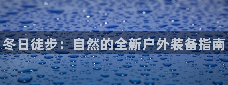 新宝gg登