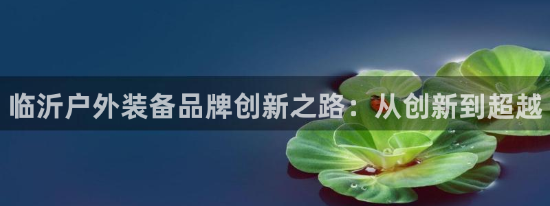 www.新宝gg