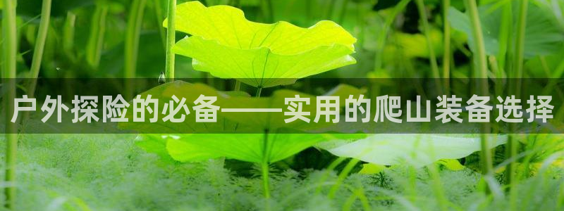 新宝gg刷流水
