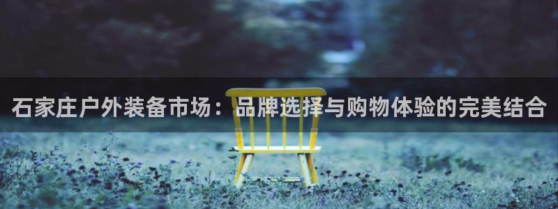 新宝 gg 总代理
