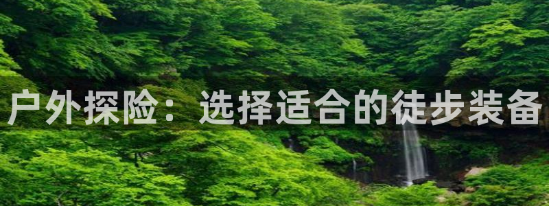 新宝GG股东