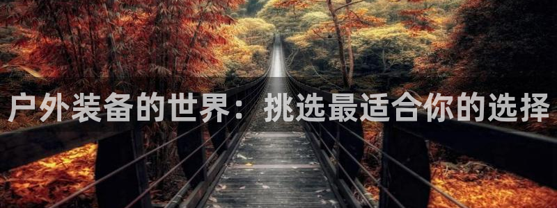 新宝gg主管 9