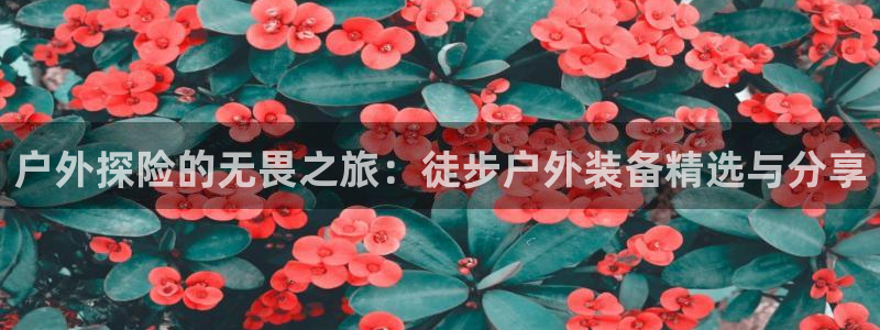 新宝gg主管111