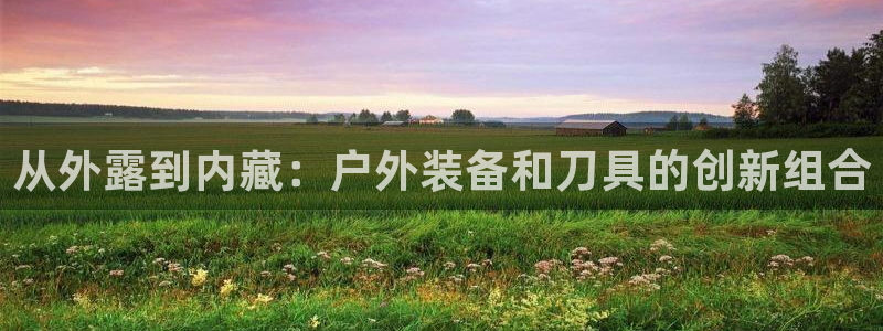 新宝gg娱乐平台