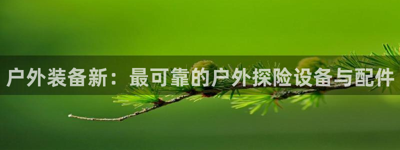 新宝gg群