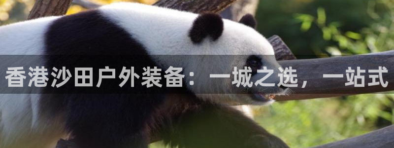 新宝gg娱乐-上鼎狐网