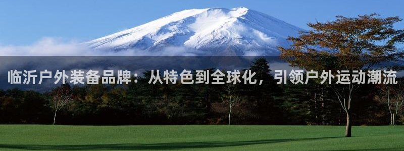 新宝gg主管开