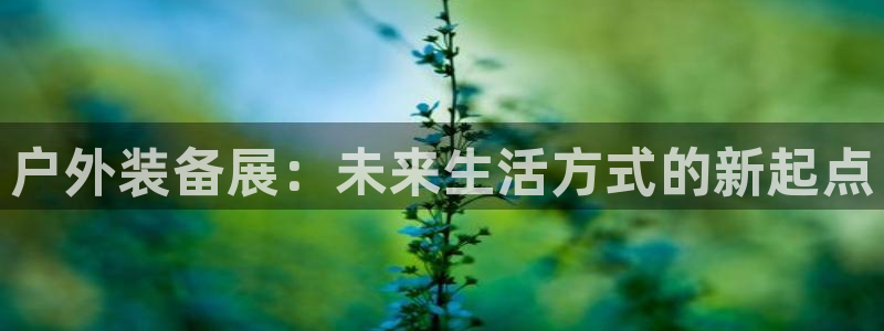 新宝gg主管都是谁
