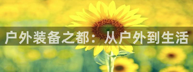 新宝GG苹果版