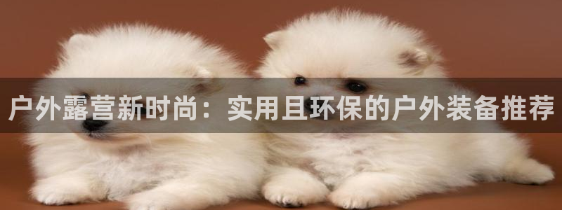 新宝gg主管48527