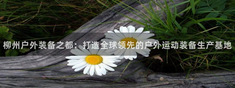 新宝gg开奖