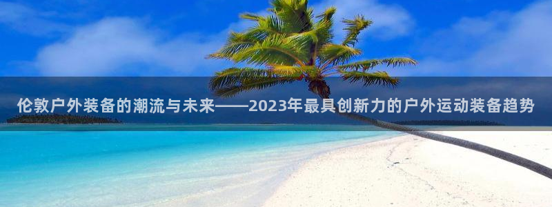 新宝gg辅助