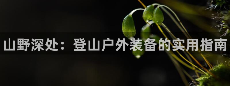 新宝GG之家