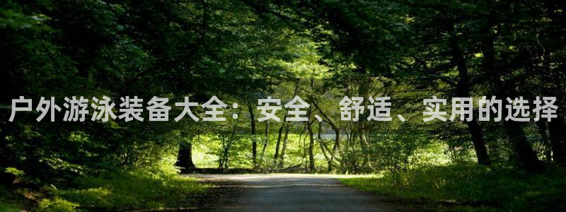 新宝gg代理