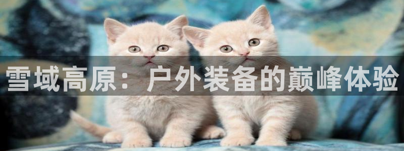 新宝gg玩