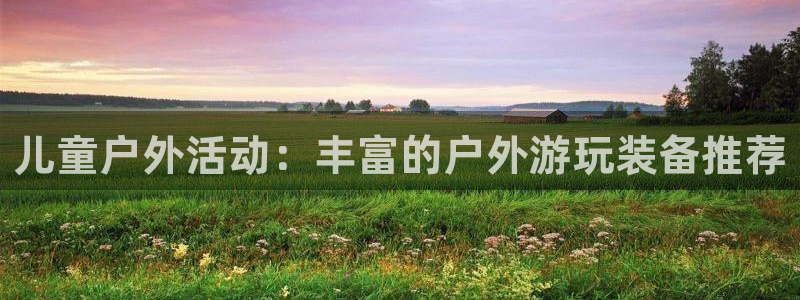 新宝 gg .com