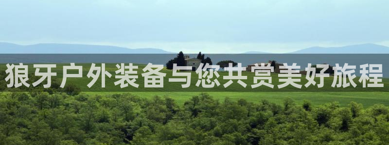 新宝gg 黑
