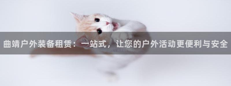 新宝GG速度