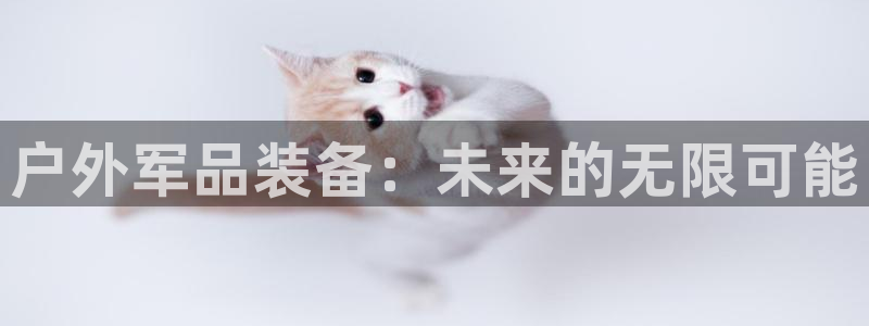 新宝gg开奖结果
