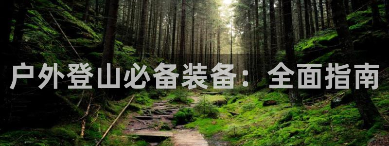 新宝gg直属上级
