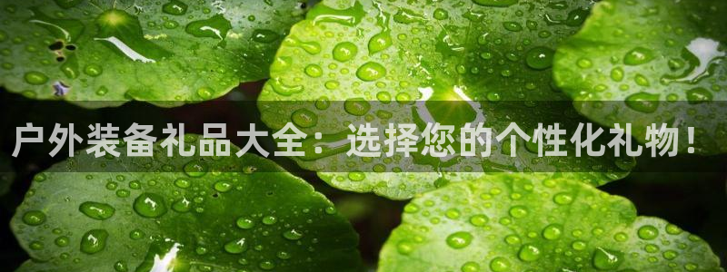 新宝gg 网址