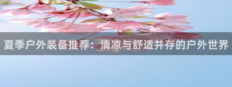 新宝gg集团