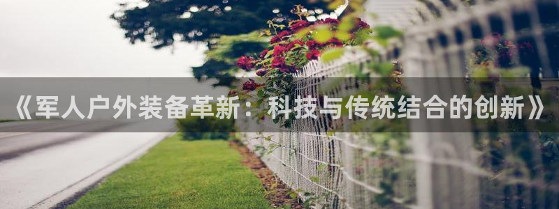 新宝gg介绍