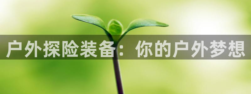 新宝GG于六七五一38